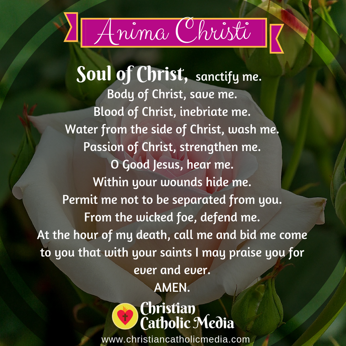 Catholic Morning Prayer Sunday 7-12-2020